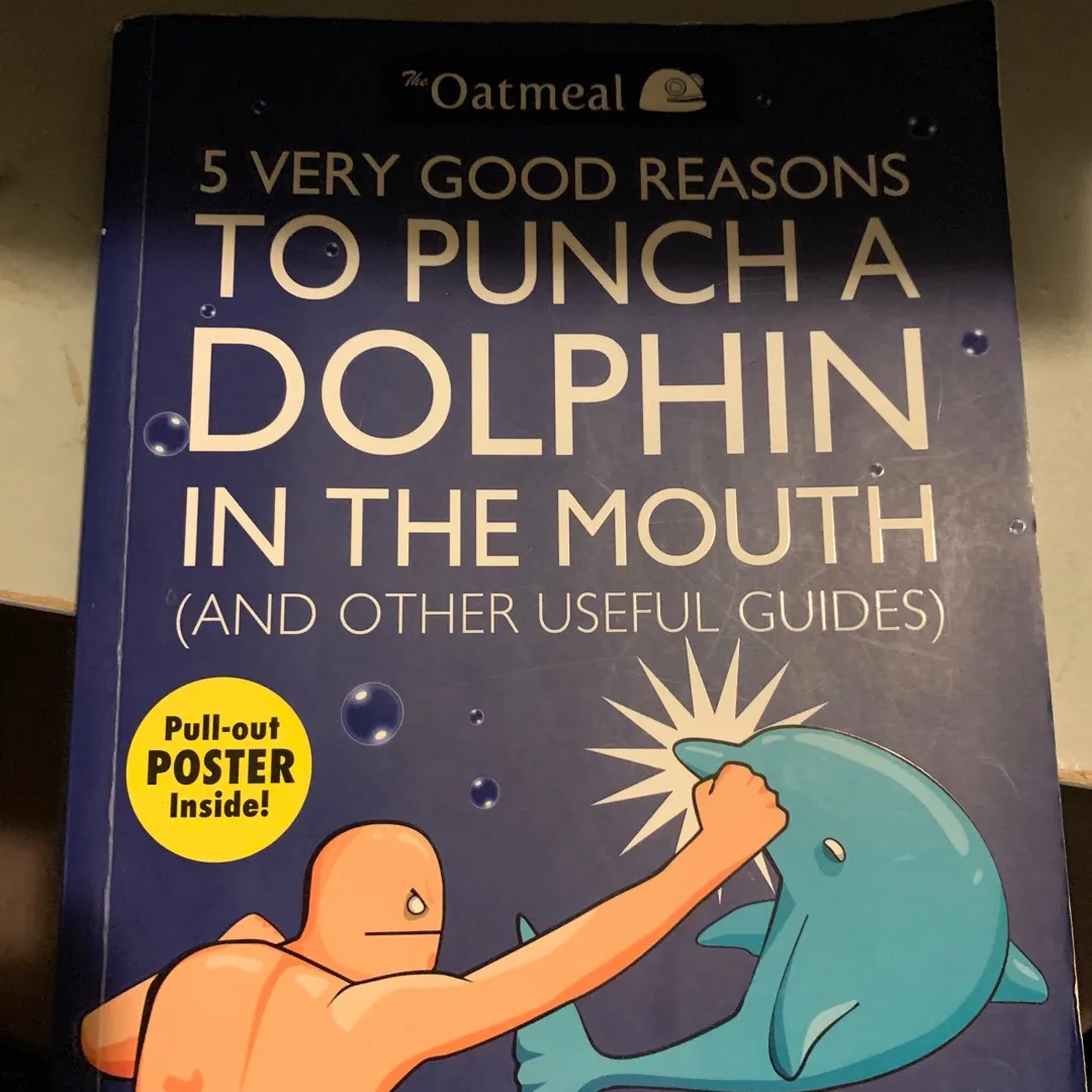 5 Very Good Reasons To Punch A Dolphin In The Mouth photo 1