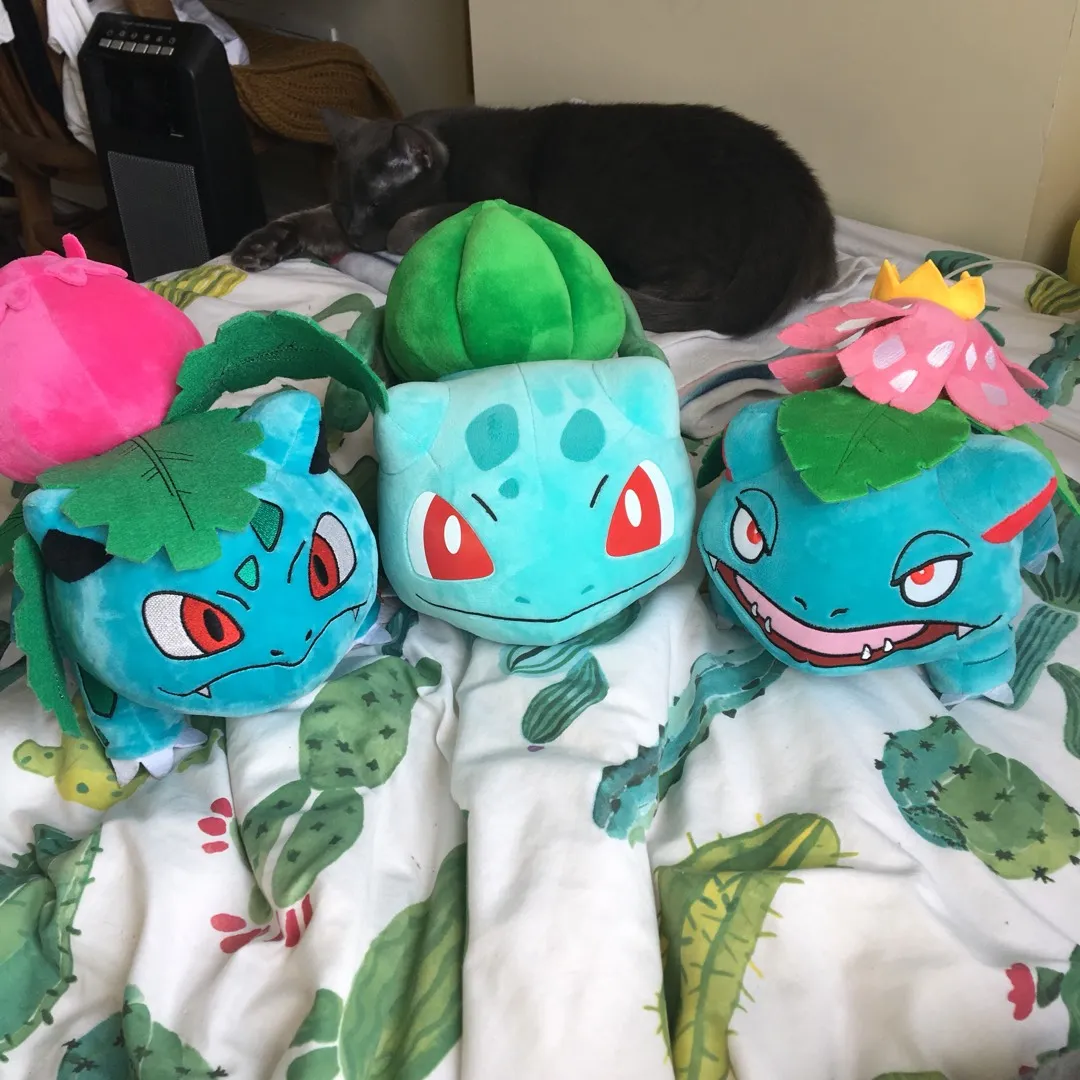 Pokémon Plushies photo 1