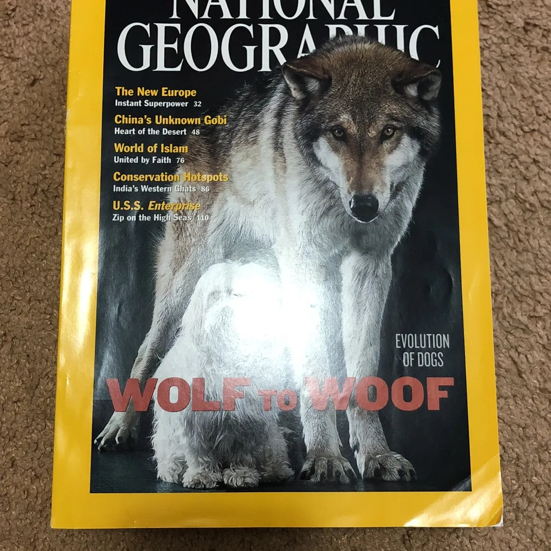 National Geographic photo 1