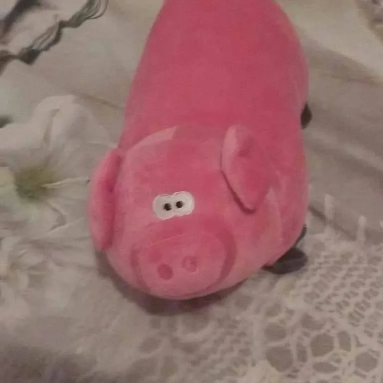 Piggy photo 1