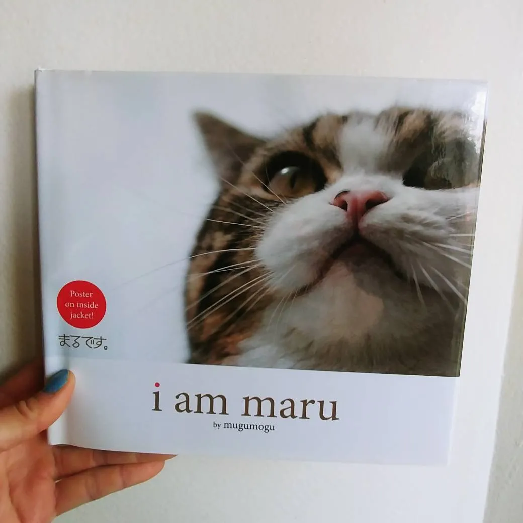 I Am Maru - The Book photo 1
