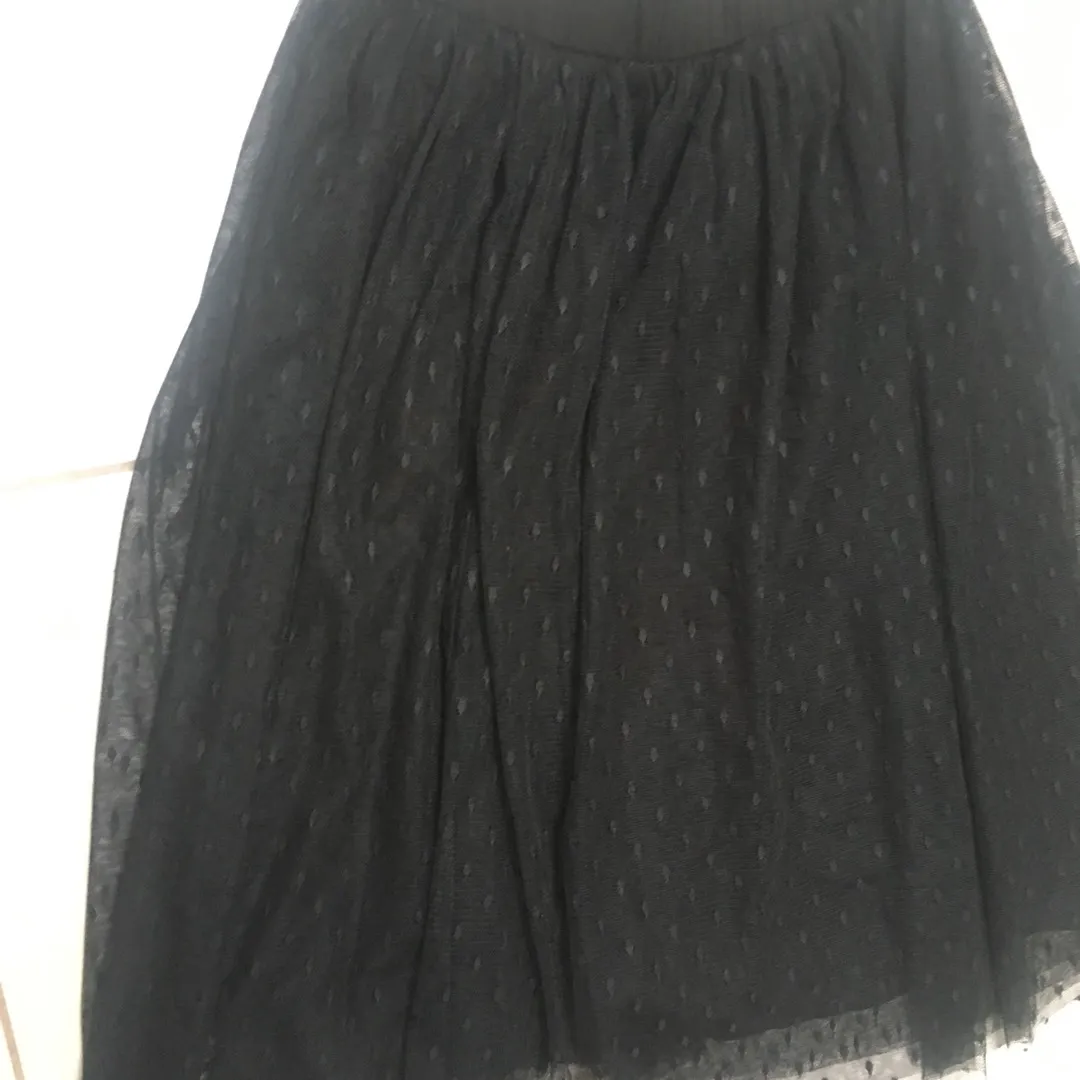 F21 Skirt New With Tags Size m photo 3