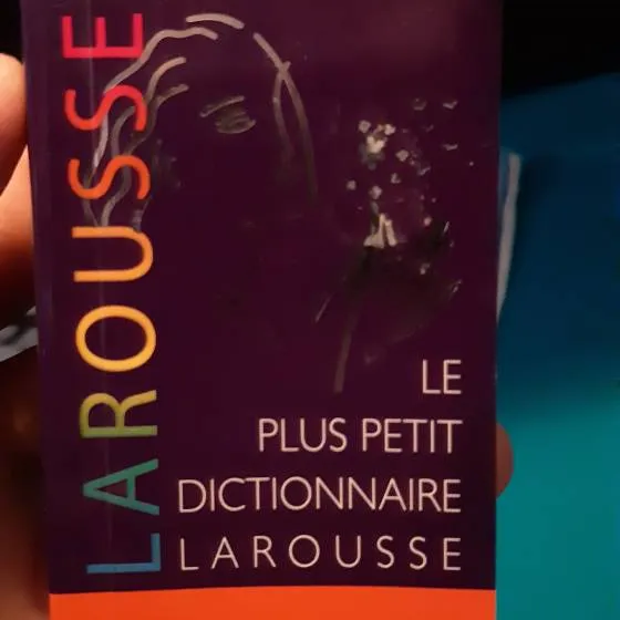 Small French Larousse Dictionary photo 1