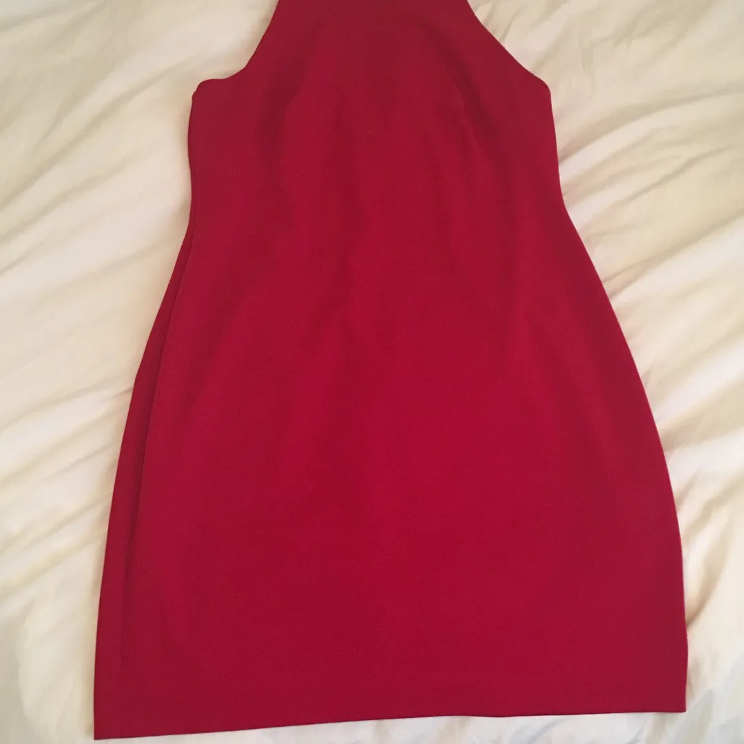 Red Turtle Neck Dress photo 1