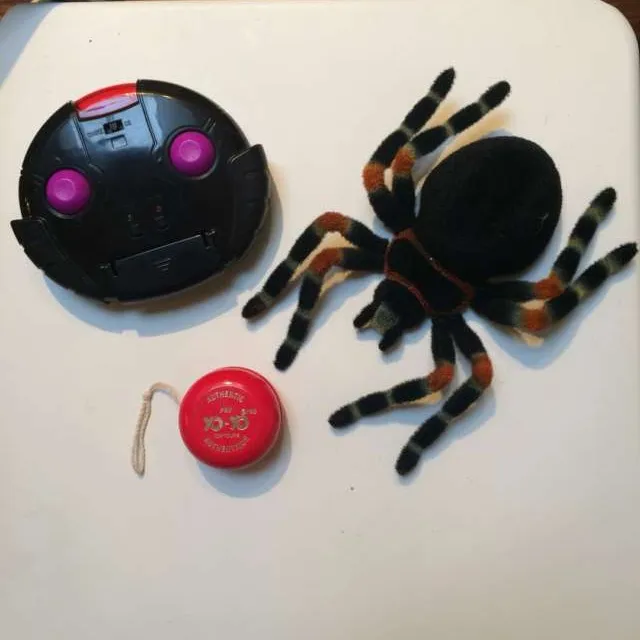 Remote Control Spider photo 1