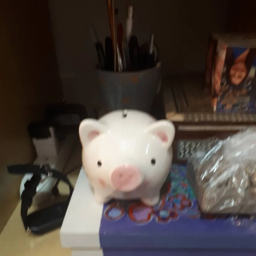 Pig Safe Bank photo 1