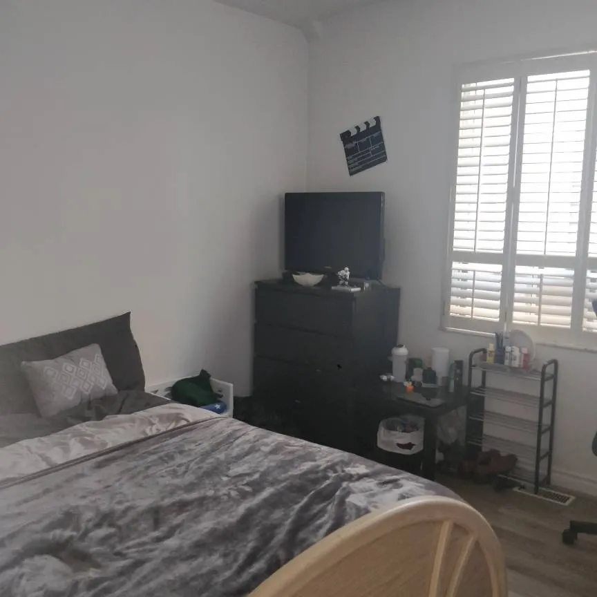 Room For Rent - St. Clair West photo 1