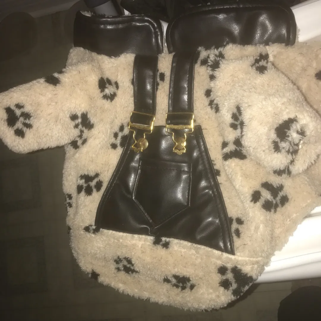 Xs dog coat that no longer fits my dog photo 1