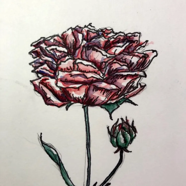 Original Flower Watercolour Painting photo 1