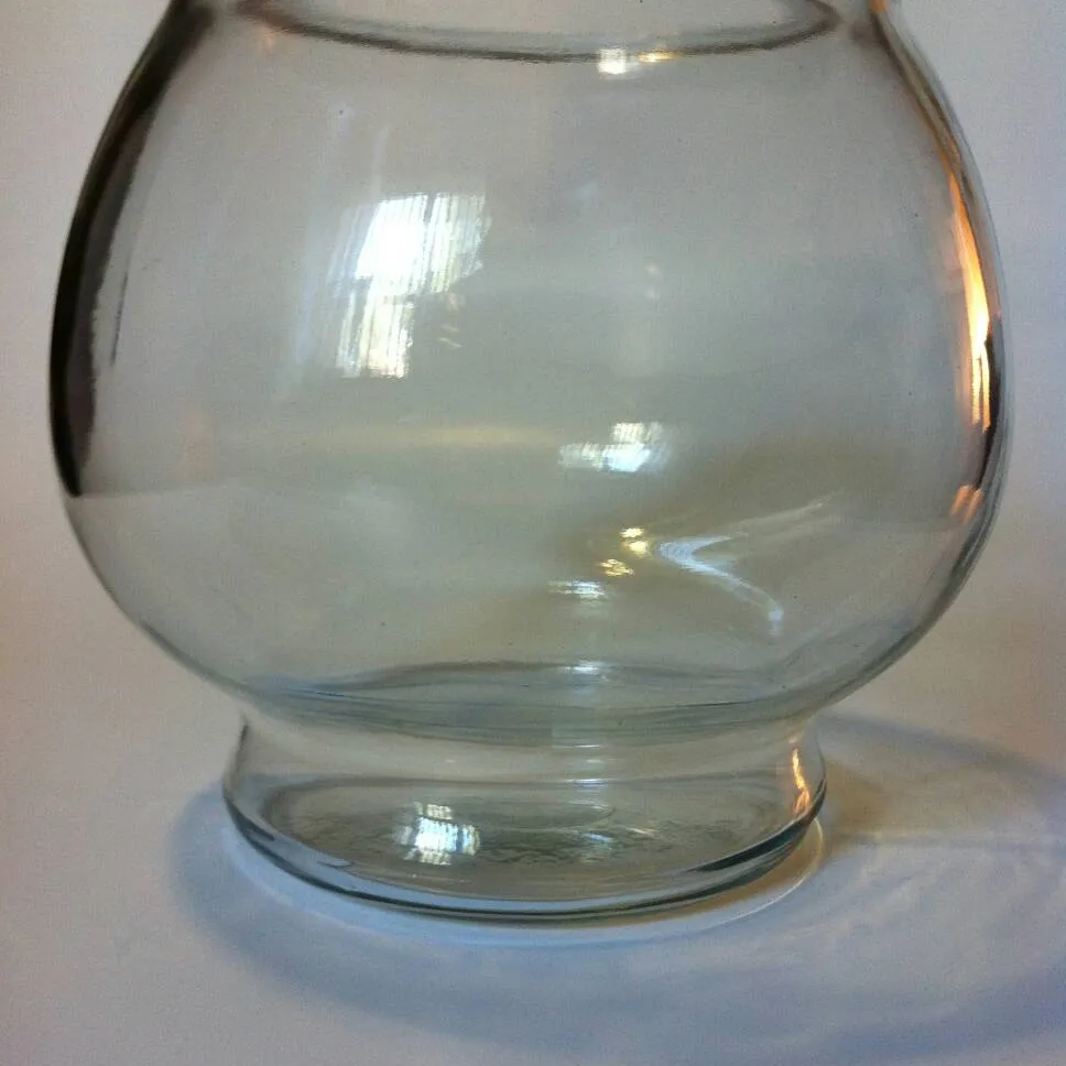 Glass Fishbowl photo 1