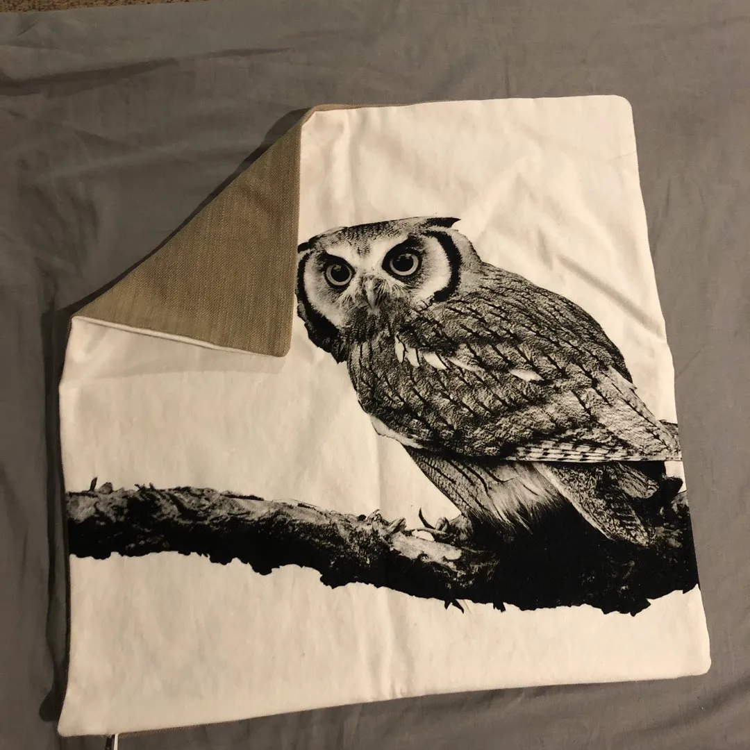Owl Pillow Cover photo 1