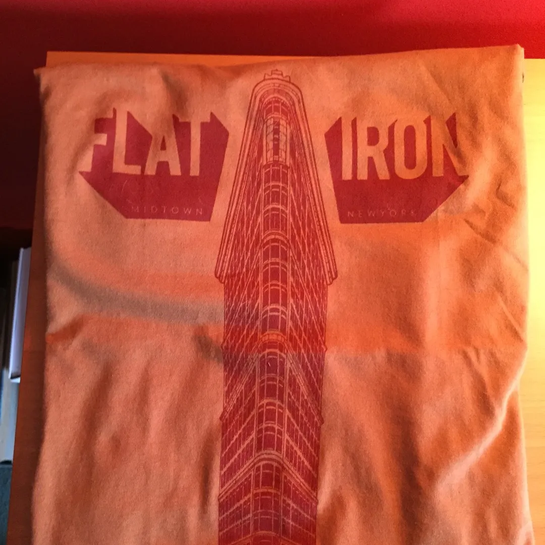 Unisex Flat Iron Building T-shirt - XS - Caramel Brown And Re... photo 4