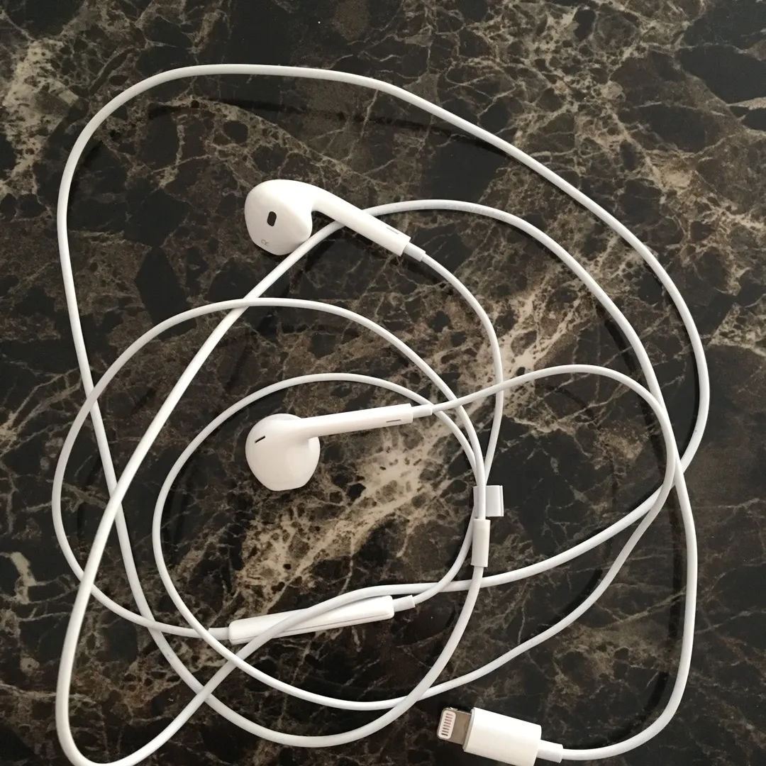 Apple Earbuds (new Model?) photo 1