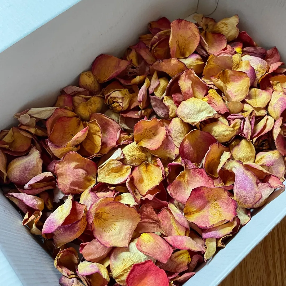 Dried Flower Petals 🌸 photo 1