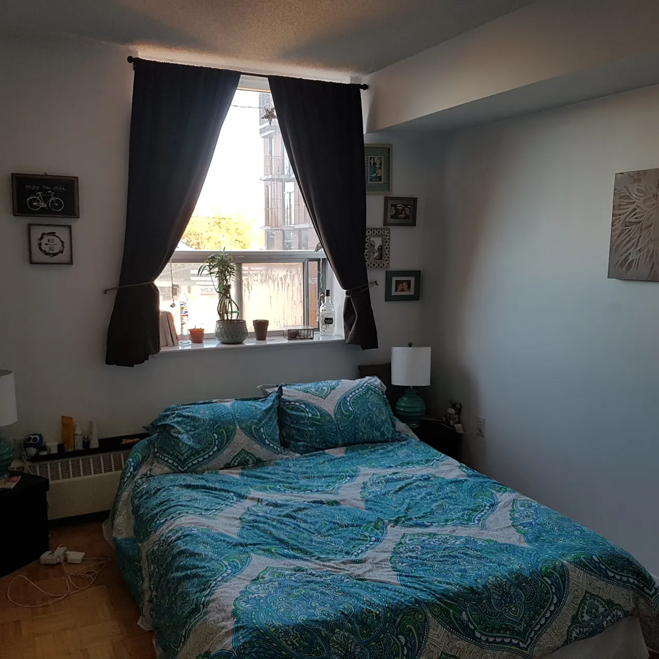 Roommate Wanted: Queen West Soulful Pad photo 6