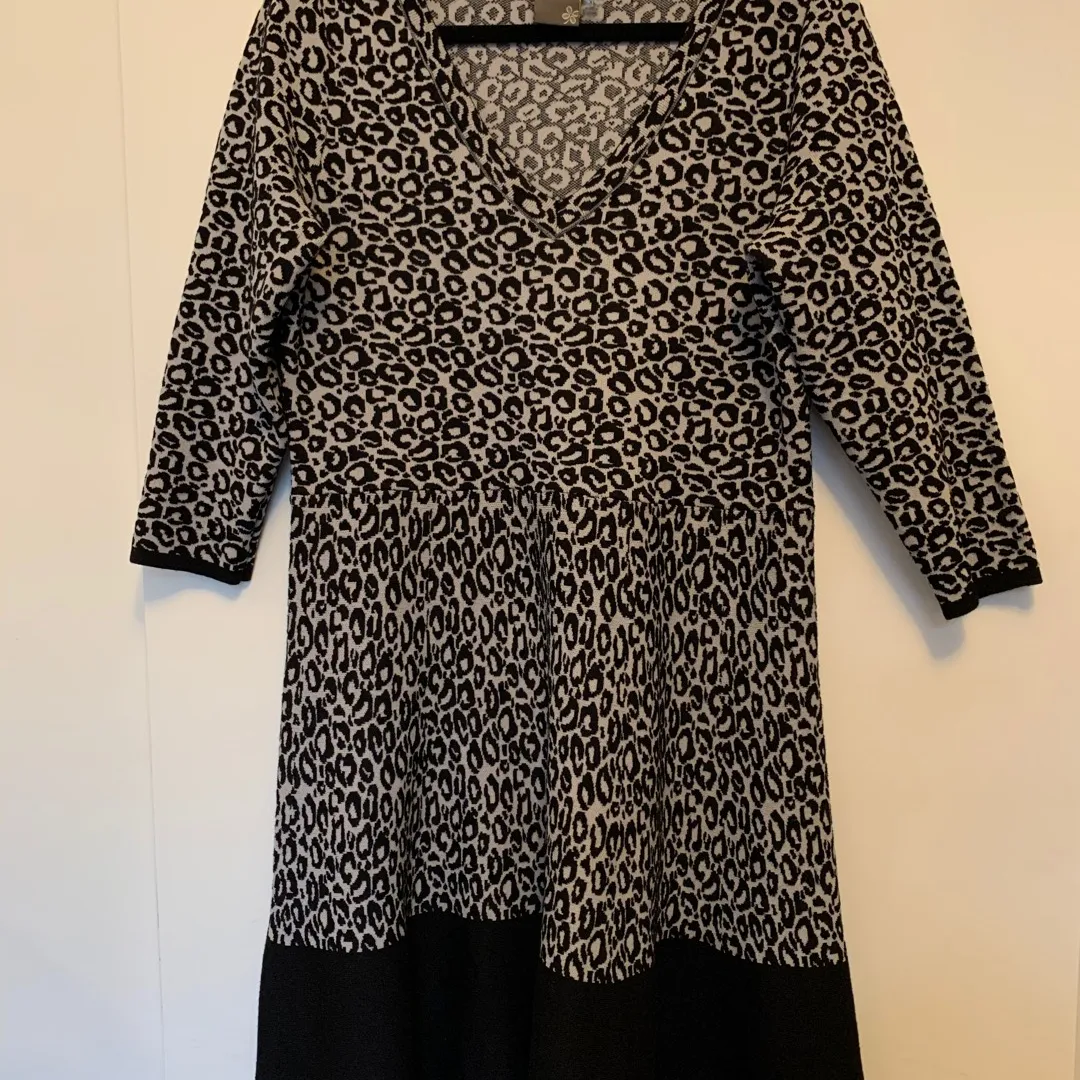 XL Cheetah Print Sweater Dress photo 1