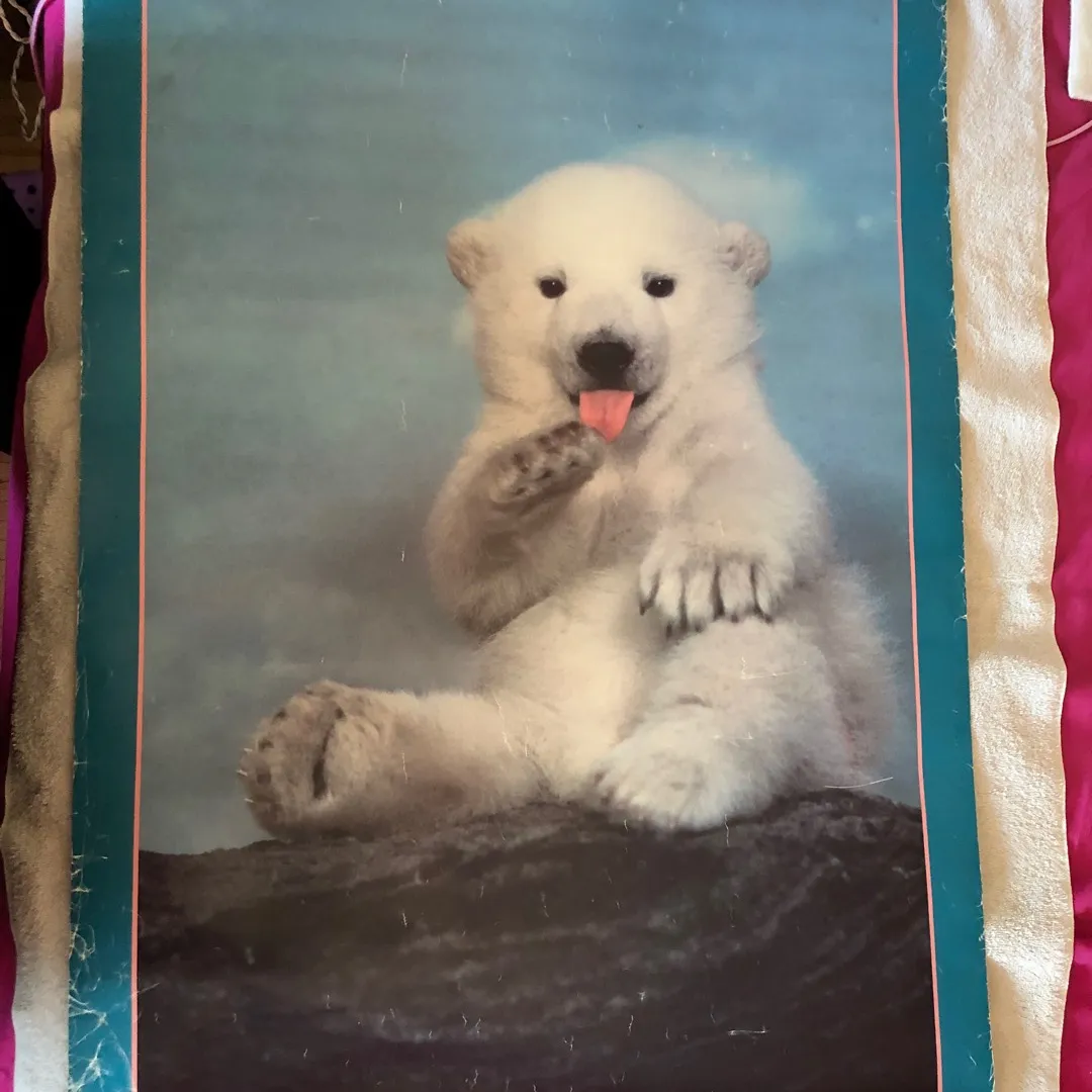 Polar bear cub poster photo 1