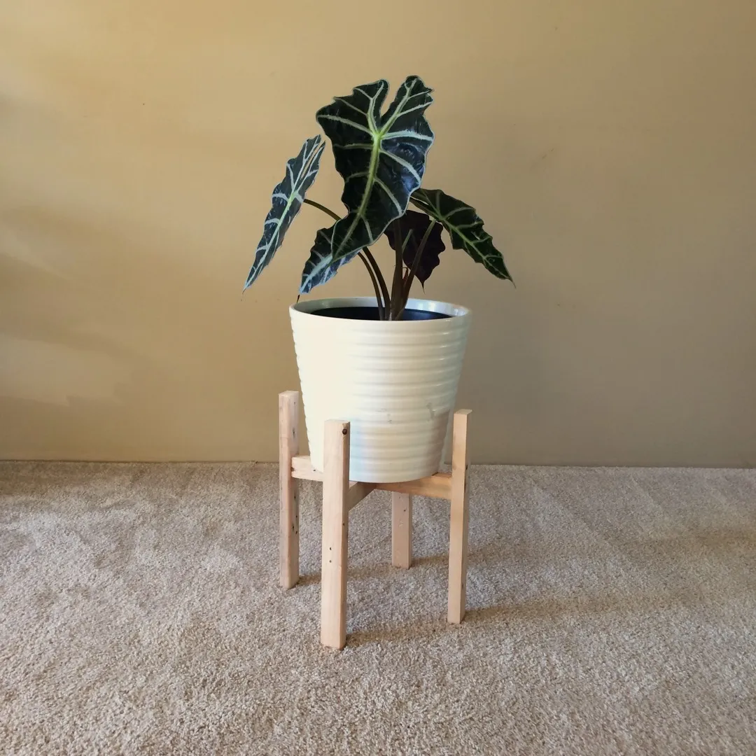 MCM Plant Stands photo 6