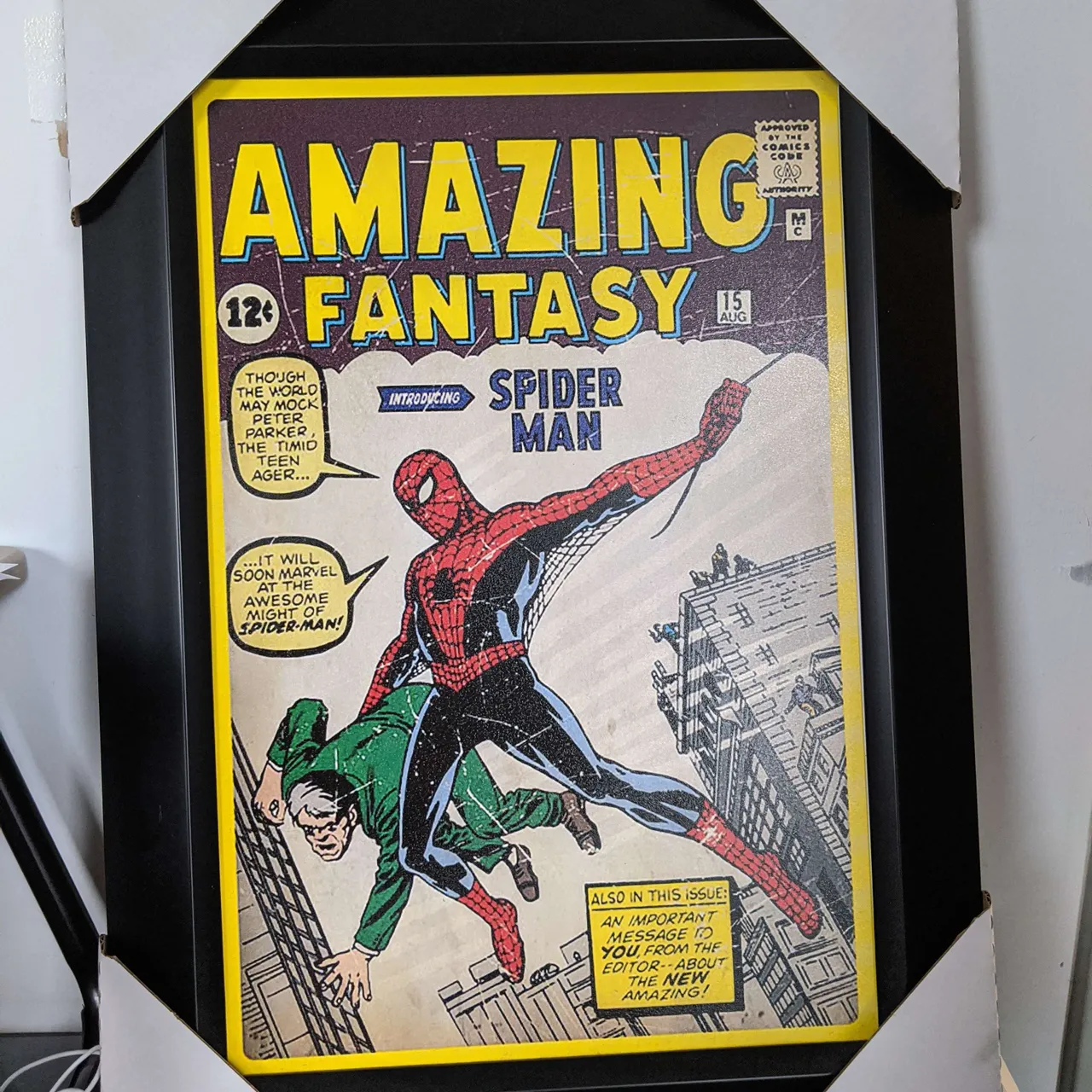 Spider Man Framed Print photo 1
