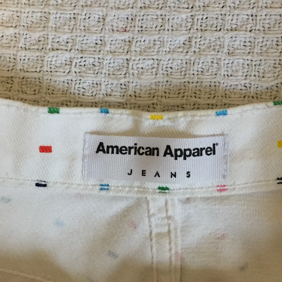 american apparel shorts photo 3