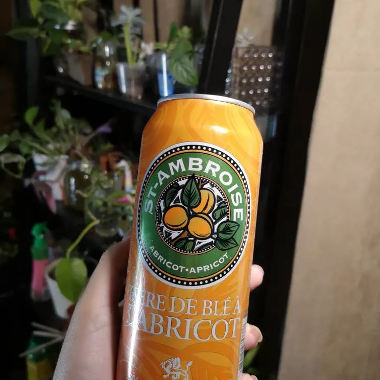 Apricot Cider/Beer photo 1