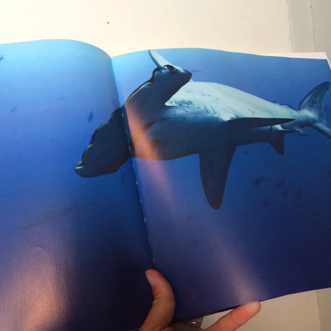 Shark Water Book photo 3
