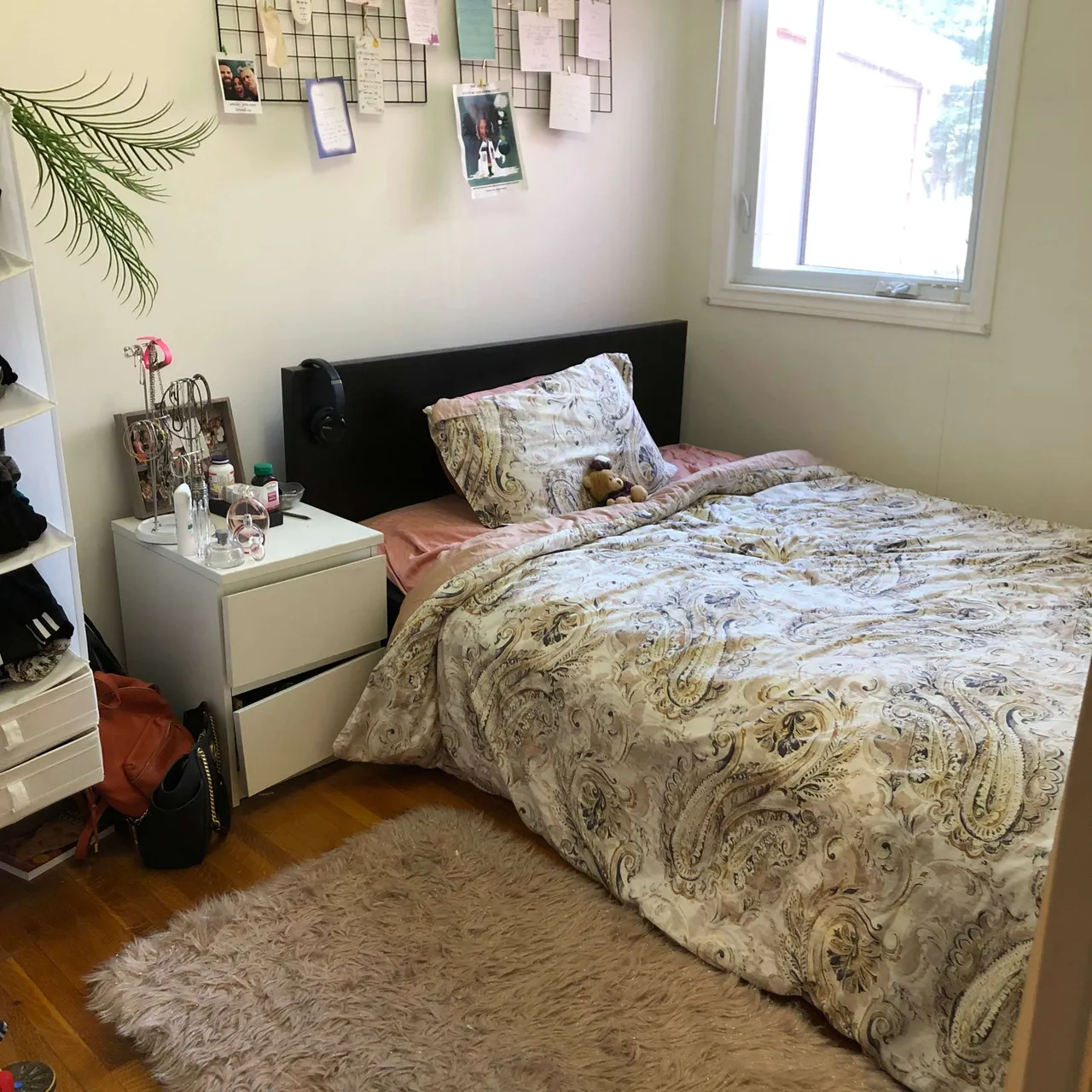 Cosy room to rent mins from Kensington Market! photo 1