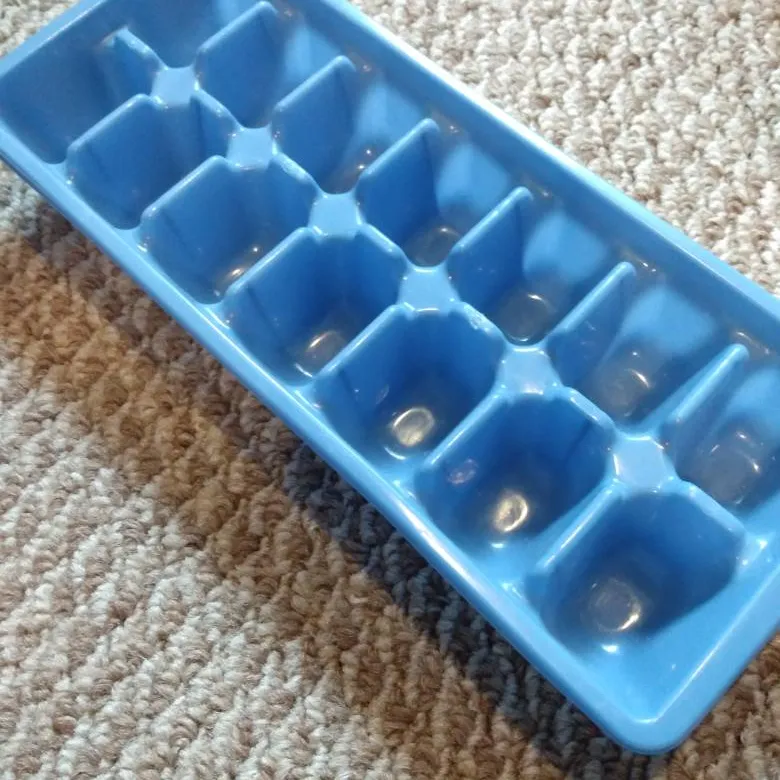Regular Ice Tray photo 1