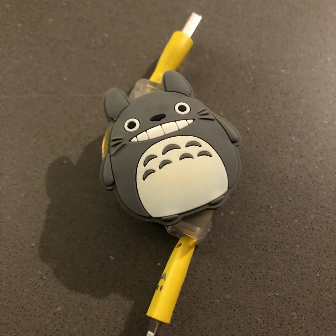 Totoro Apple charger photo 1