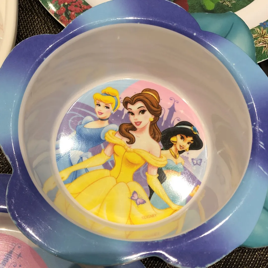 Free Plastic Bowl And Dish (Disney Princess) photo 3