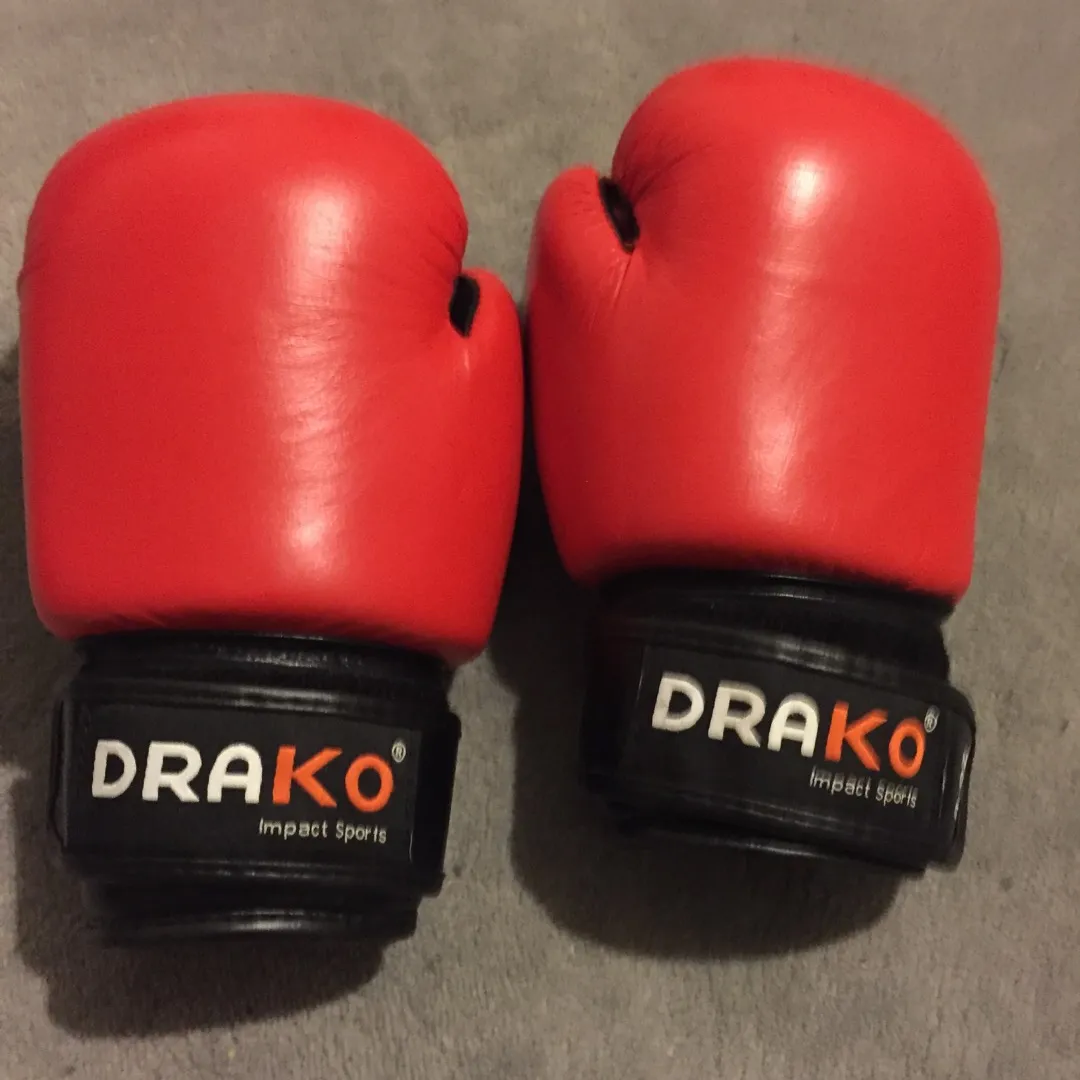 Drako Kids Boxing Gloves photo 1