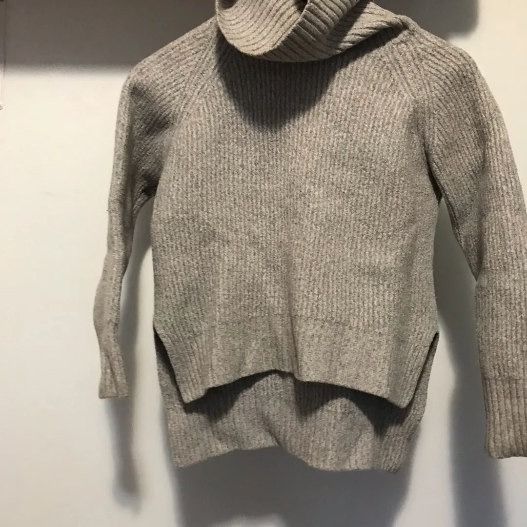 wilfred free turtleneck wool sweater (edited w more details) photo 1