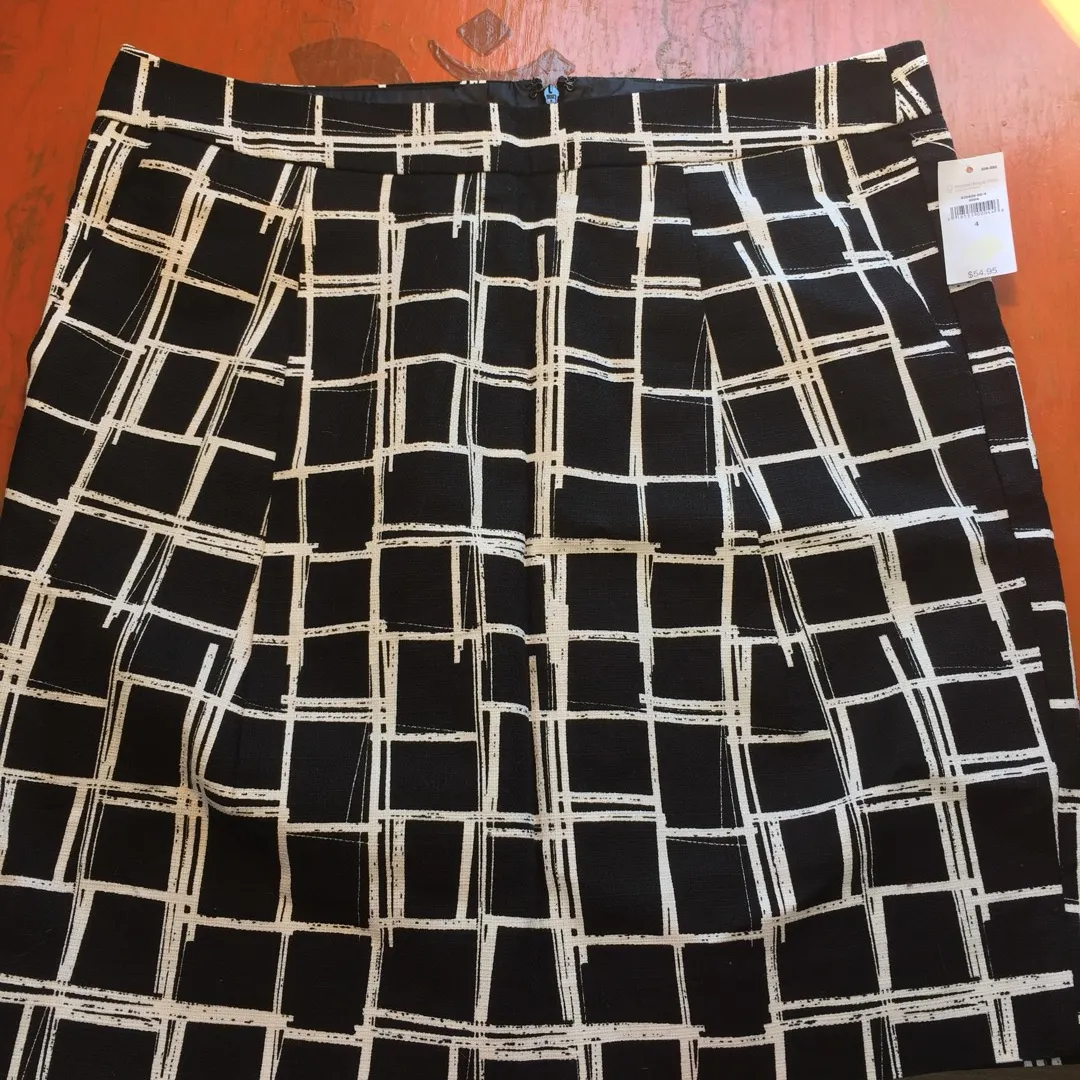 Brand new Gap Skirt Size 4 photo 1