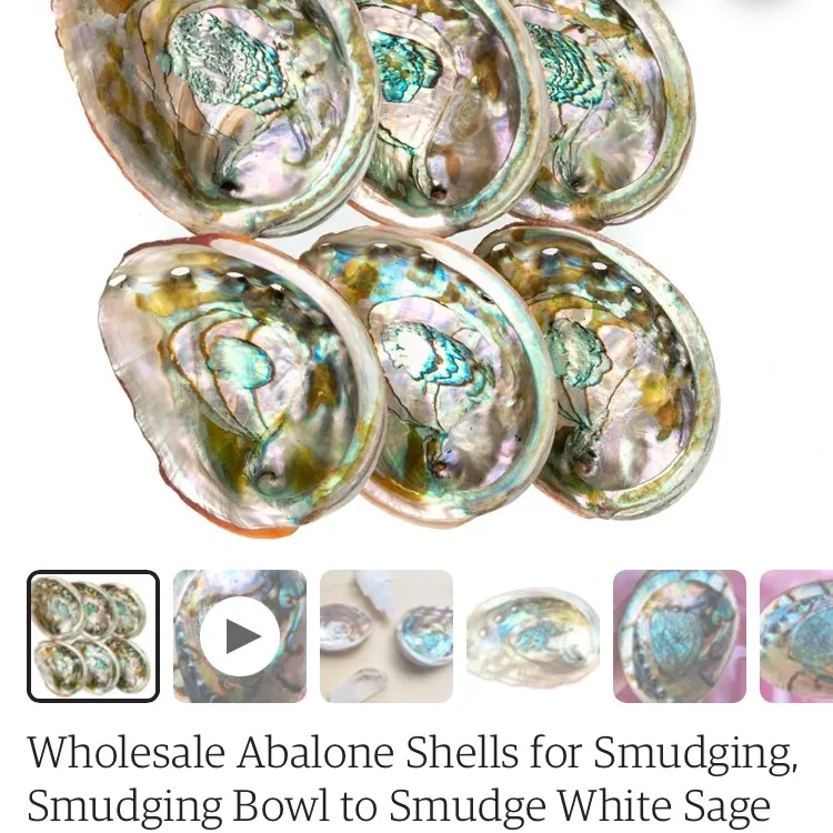 Abalone Shells photo 7