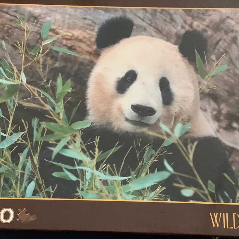 500-Piece Panda Puzzle photo 1