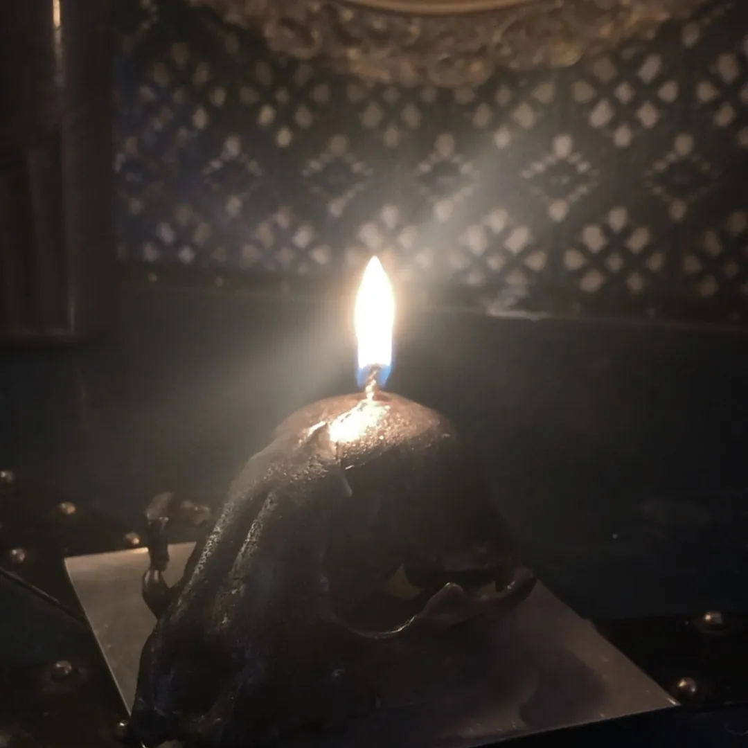 Black Skull Candle photo 1