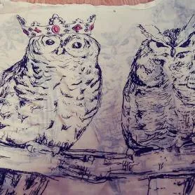 Owl Scarf Or Art photo 1