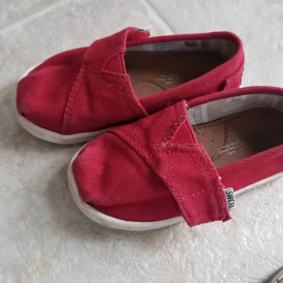 TOMS for Toddlers photo 4