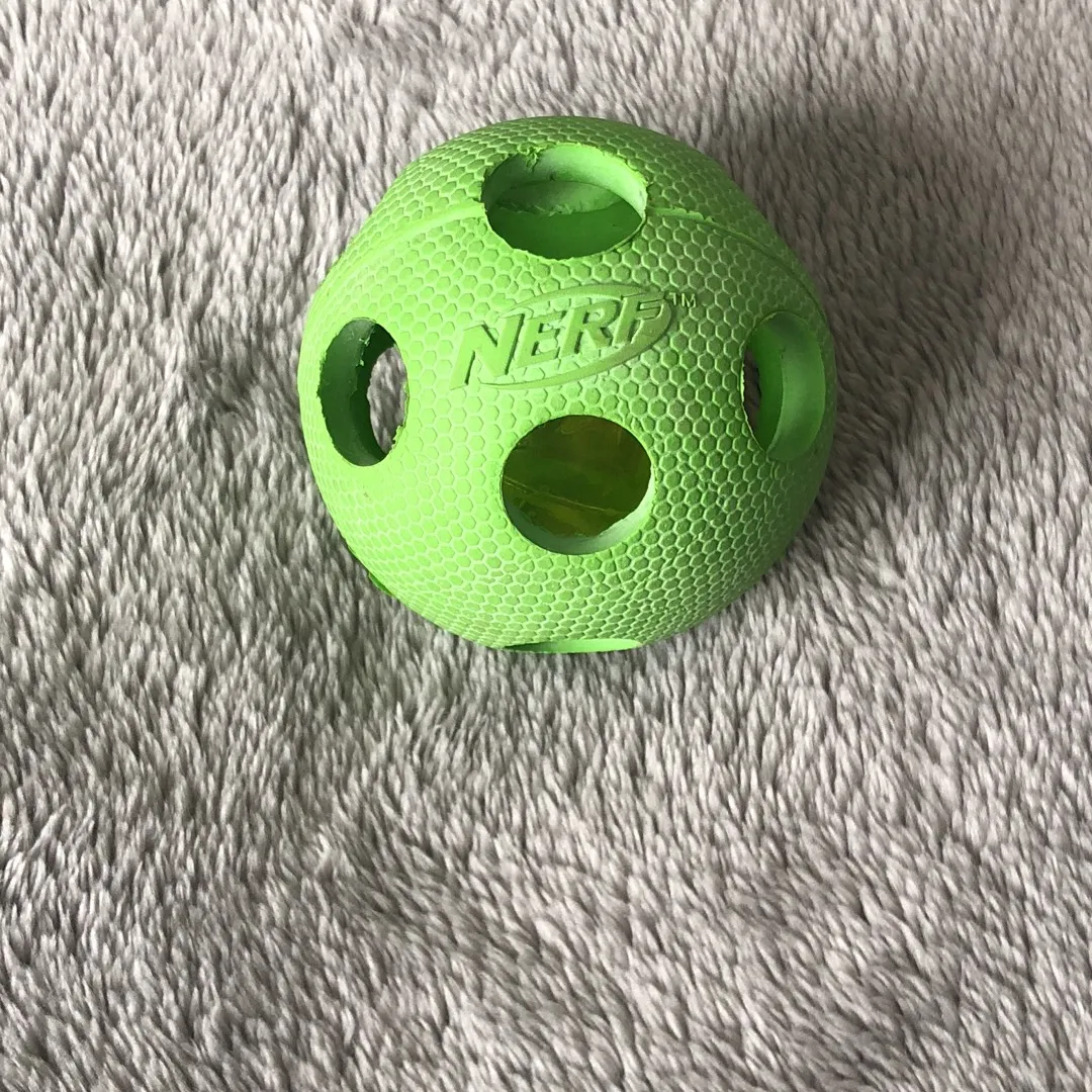 Nerf Dog Toy photo 1