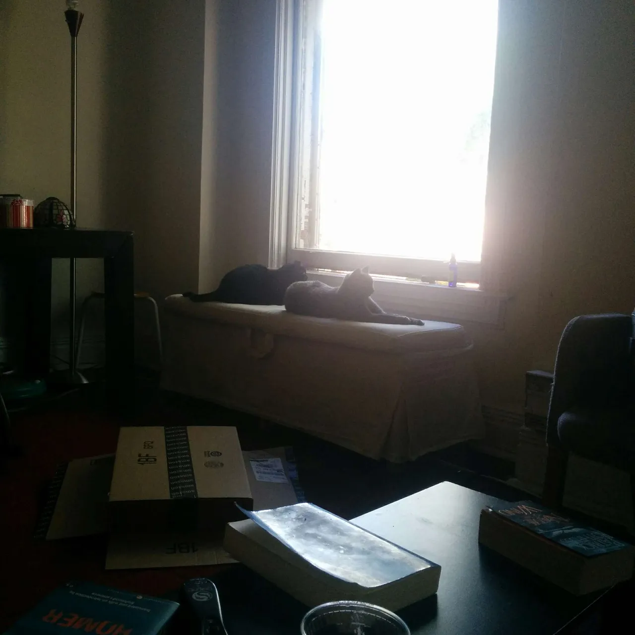 1 BDRM furnished in sunny Ossington Victorian available for F... photo 5