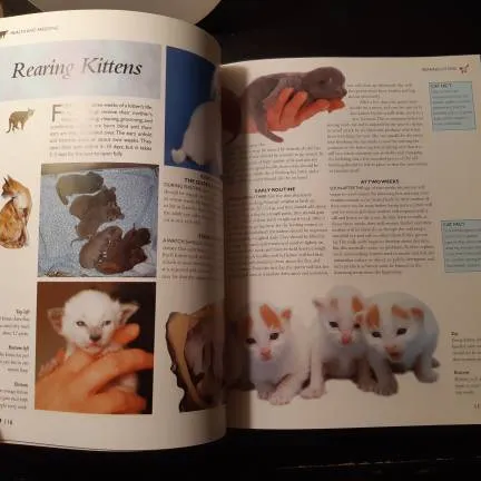 Book Of Cats photo 3