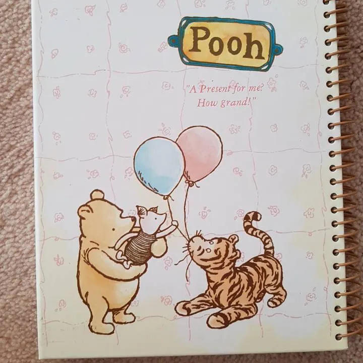 Pooh Diary/ Date Book photo 1