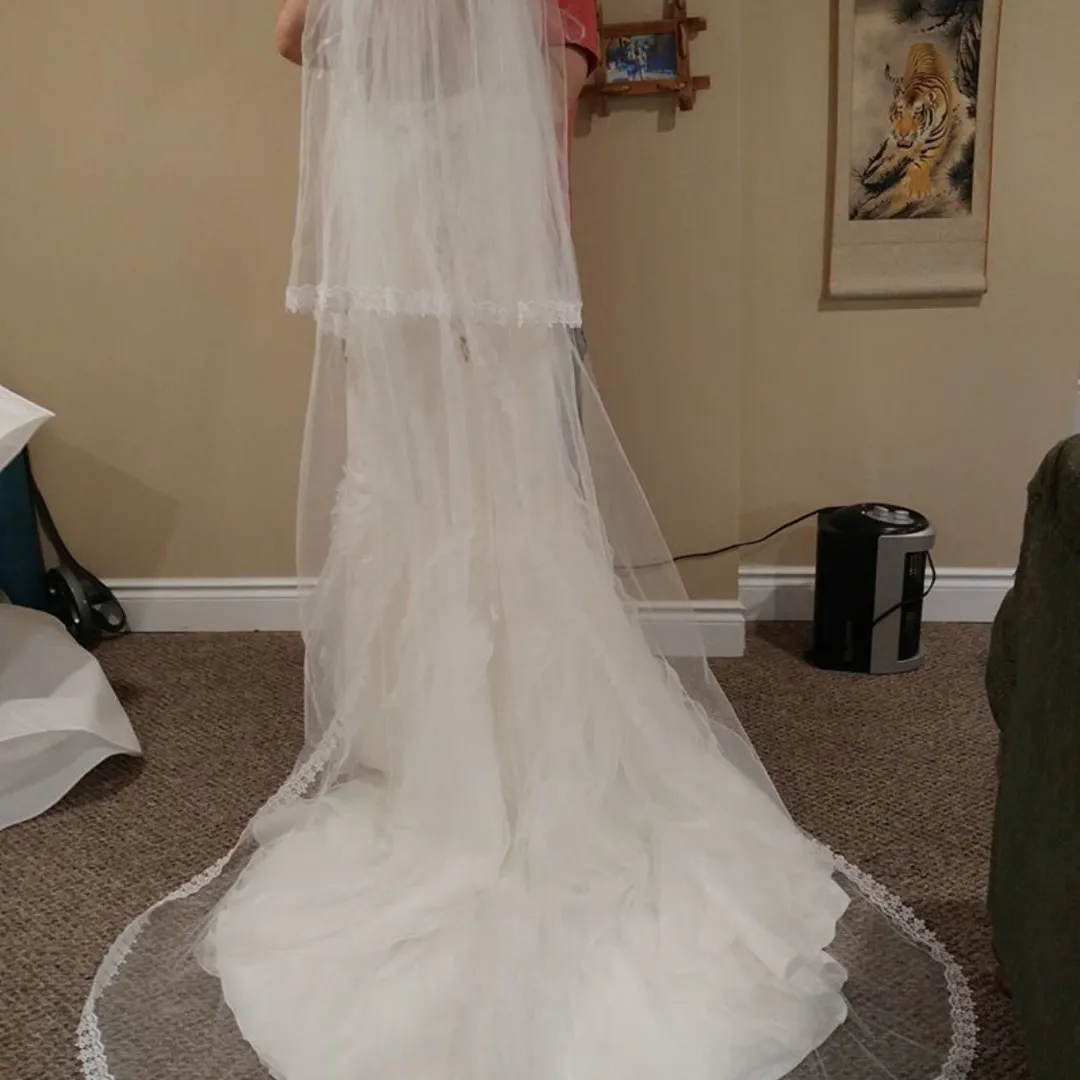Wedding Cathedral Veil photo 1