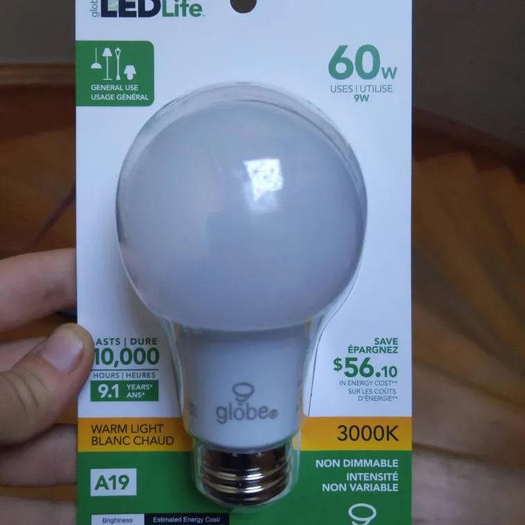 7 Light Bulbs photo 1