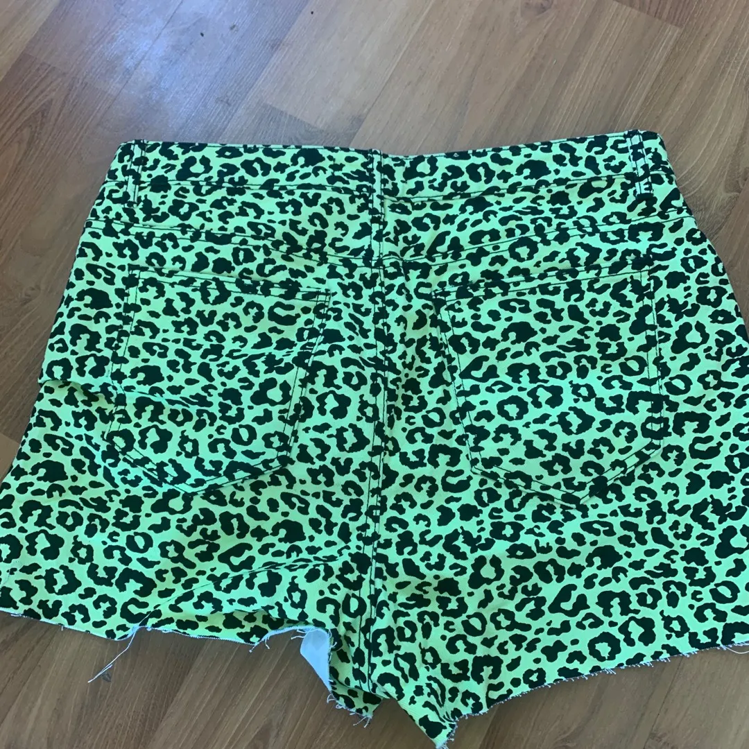 Neon leopard shorts! photo 3