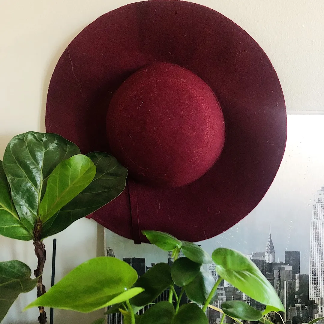 👒 red floppy hat photo 1