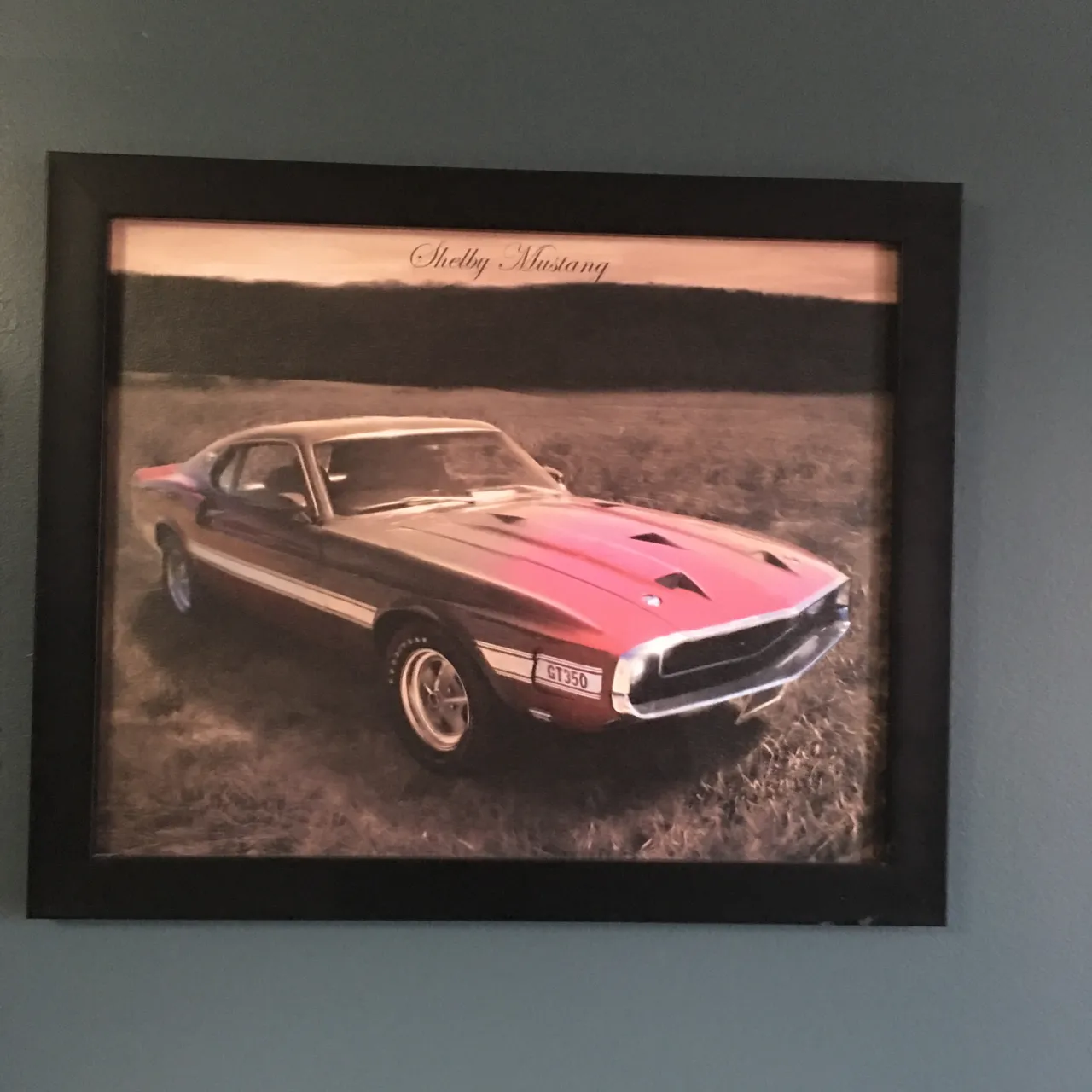Shelby mustang Print photo 1