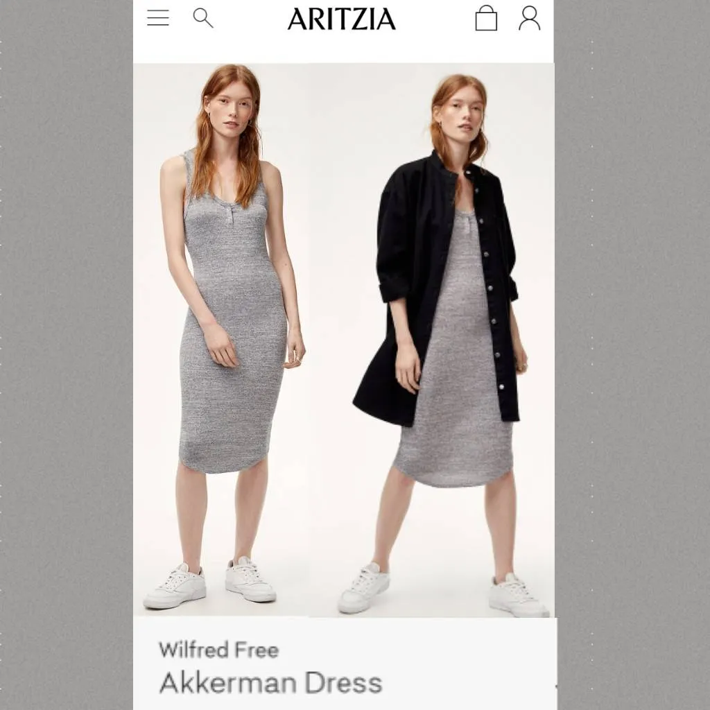 $40 trade - Aritzia, Wilfred Free Dress (LRG) photo 1