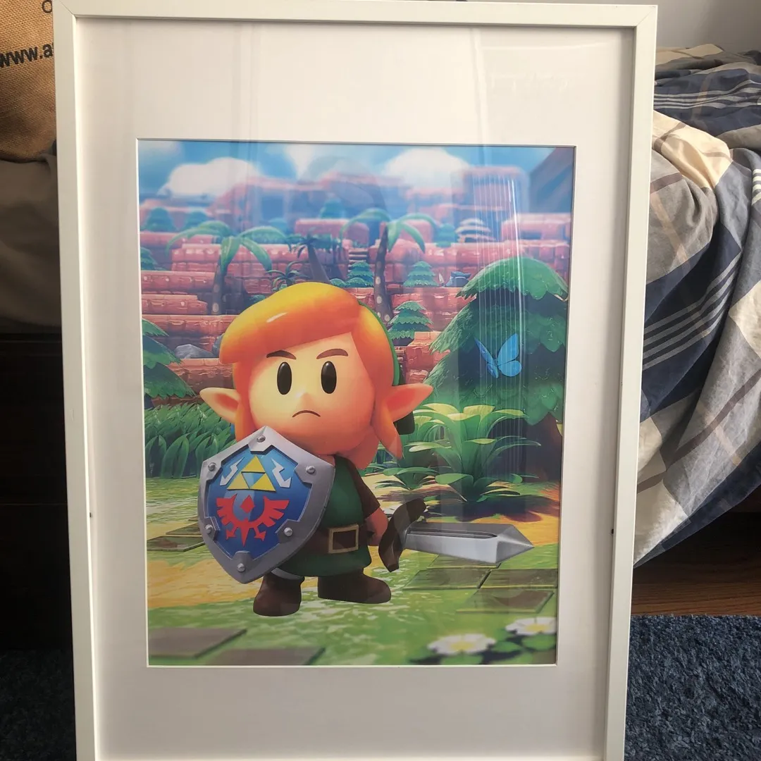 framed Zelda photo photo 1