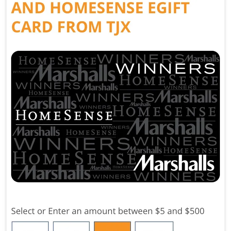 Winners / Marshall’s / Homesense photo 1